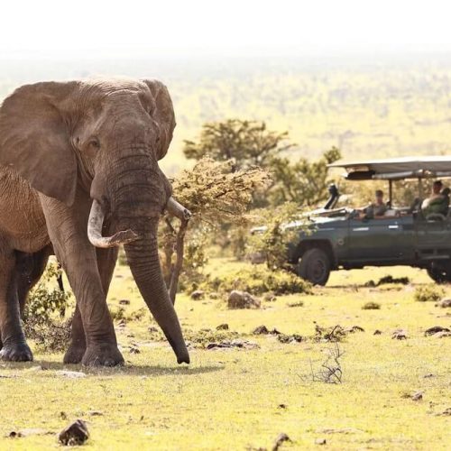 GAME DRIVE