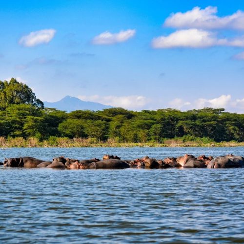 Lake Victoria 3