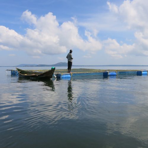 Lake Victoria 5