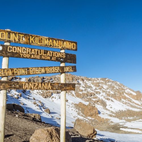 Rongai Trekking