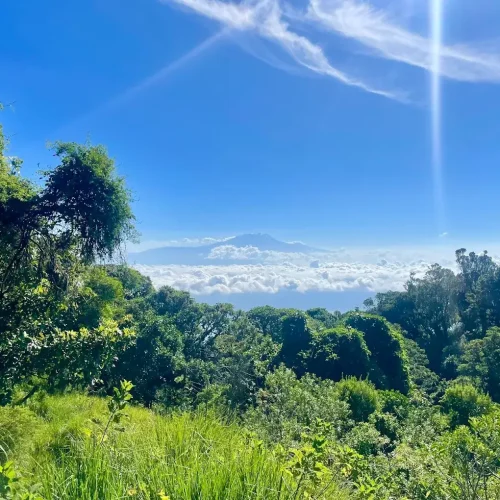 arusha np view