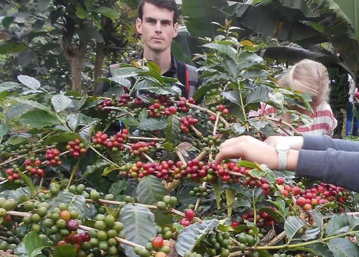 coffee tour11