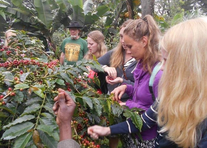 coffee tour4
