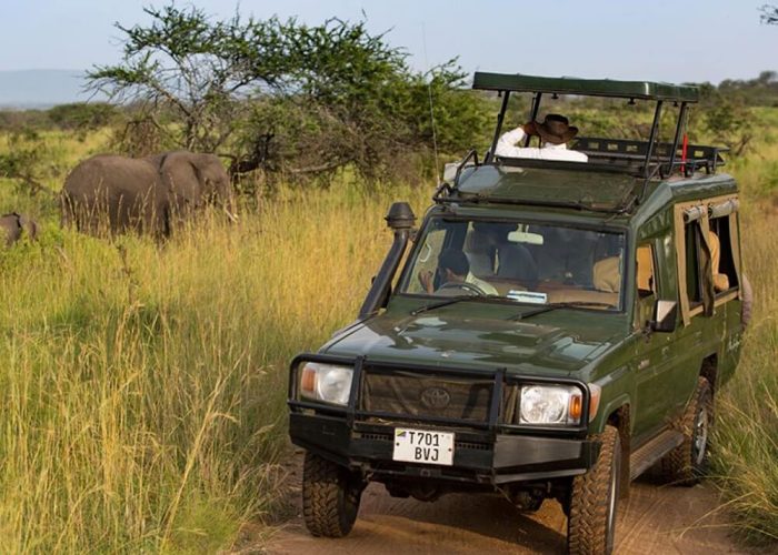 game drive 5