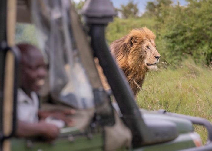 game-drives-9
