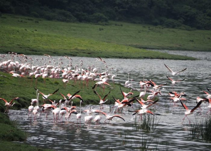 lake natron 6