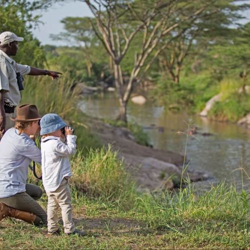 nyerere np walking