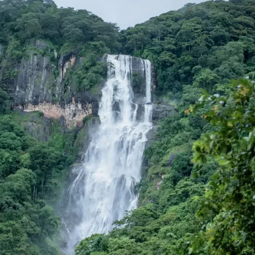 udzungwa (1)