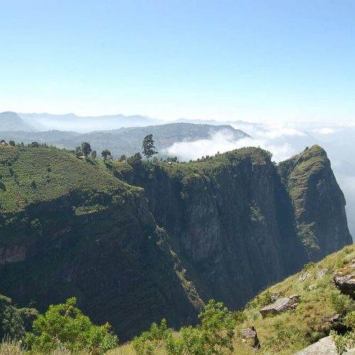usamabara