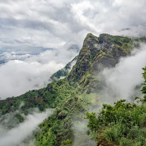 usambara mountain 4